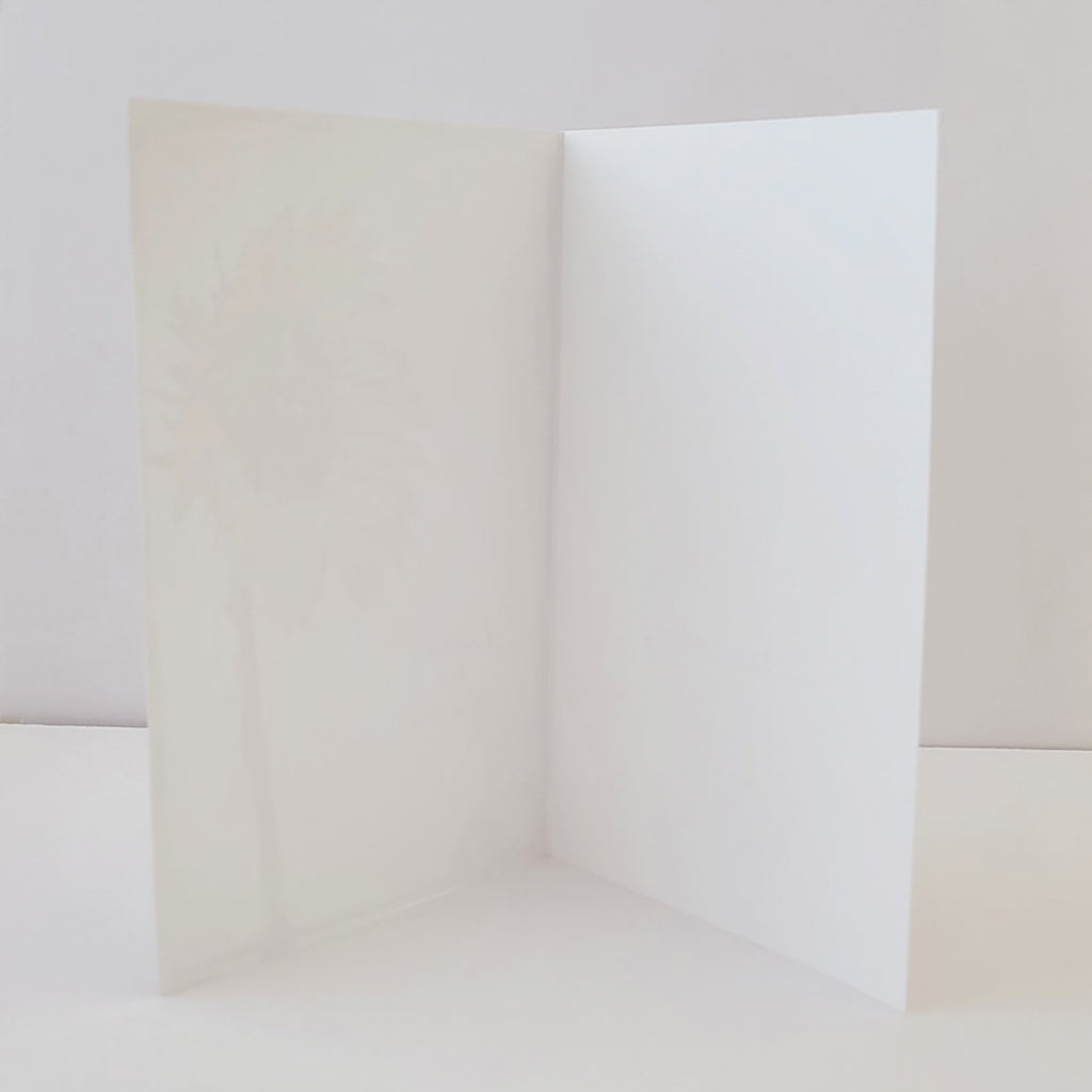 Where the Bison Roam - Artful Greeting Card