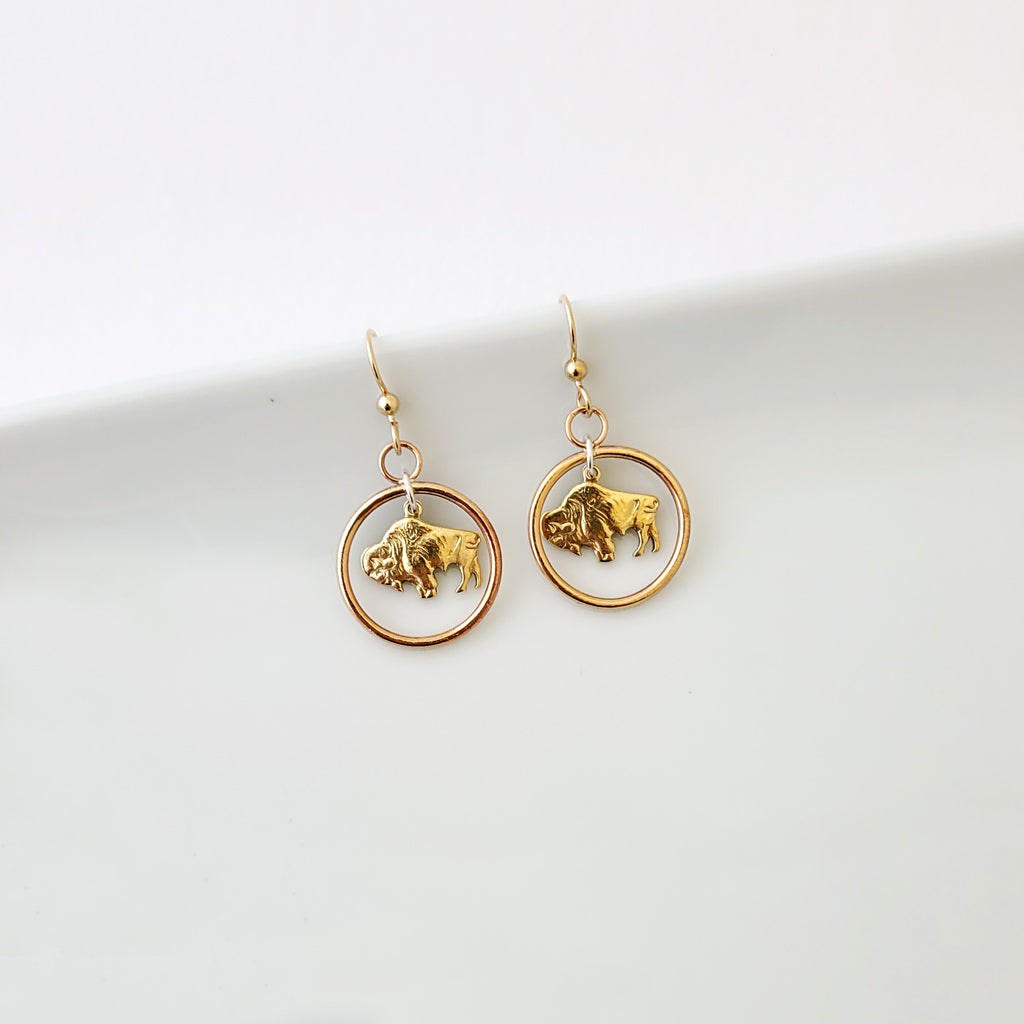 Circle of Pride in Bronze, Small - Earrings