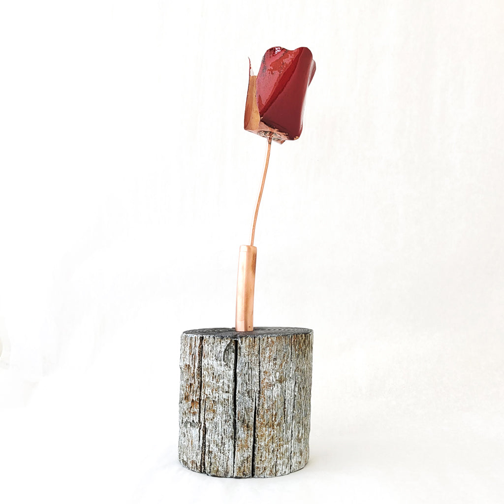 Tulips in Bloom in Red II - Weathered Wood