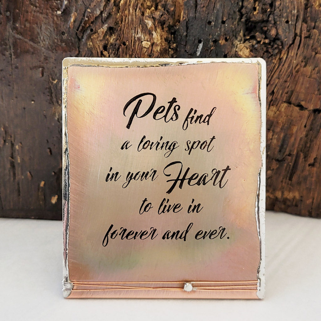 Pets Find a Loving Spot - Mini