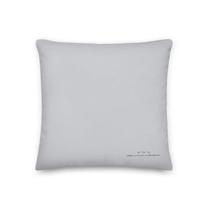 A Robin Egg Blue II - Pillow